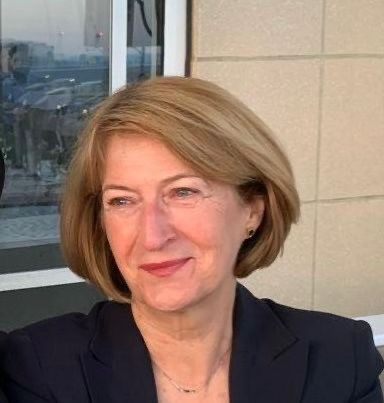 Vesna Bojicic-Dzelilovic,&nbsp;Denisa Kostovicova&nbsp;and&nbsp;Fikret Čaušević